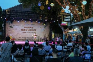 上海：啤酒音乐节激发夜经济